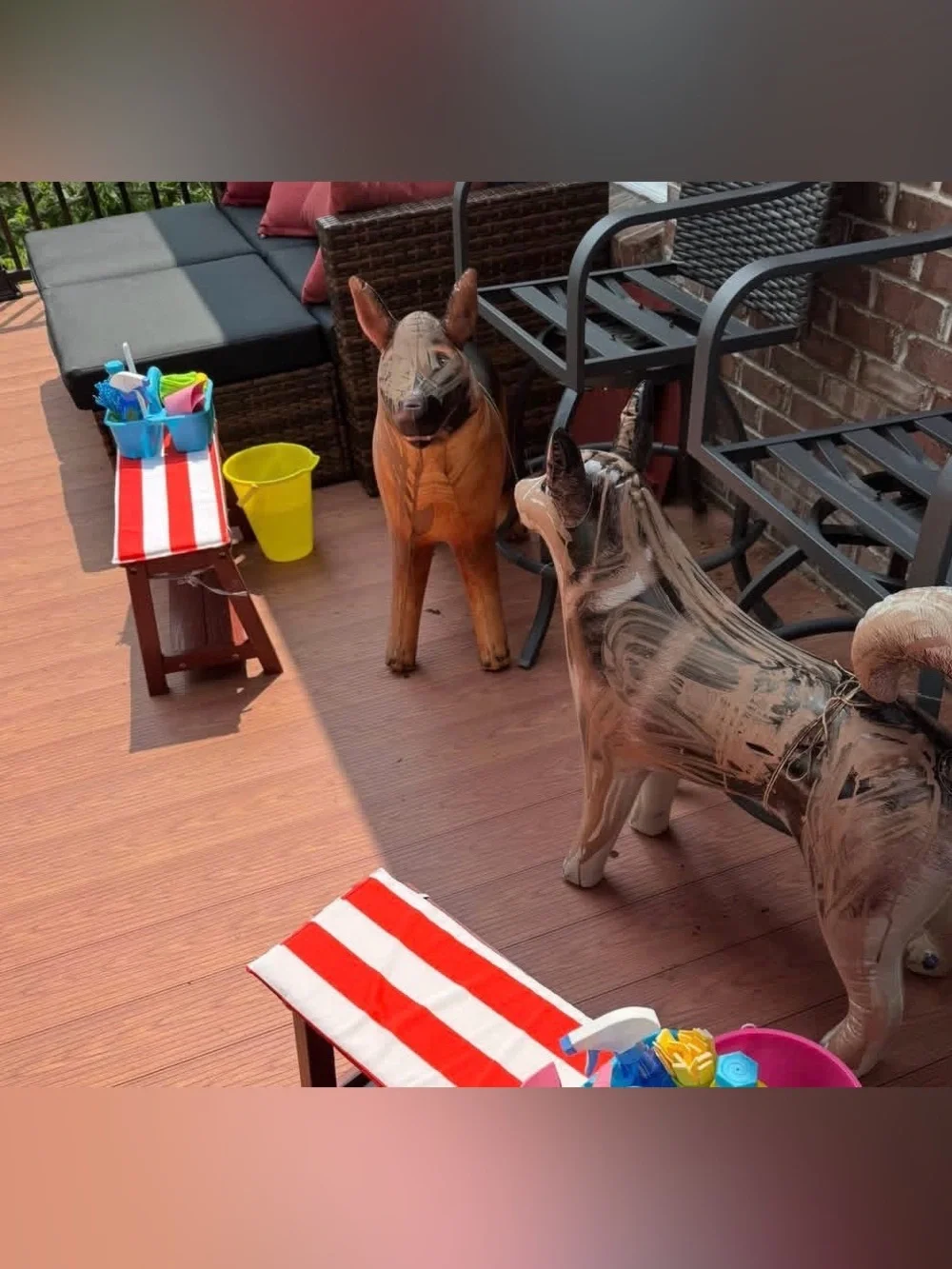 Inflatables 3 Husky Dalmatian Shepherd 30